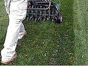 Lawn Aeration Services Rockford, Rockford Aeration Contractors, Rockford Lawn Aeration Contractors, Rockford Lawn Core Aeration Contractors, Lawn Core Aeration, Rockford, Illinois