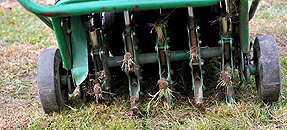 Core Aeration Rockford, Rockford Core Aeration Contractors, Core Aeration Companies in Rockford