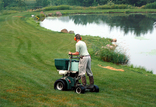 Rockford Lawn Fertilizing Companies