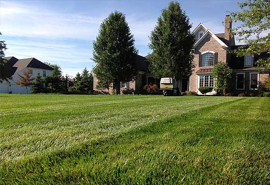 Rockford Lawn Fertilizing Contractor
