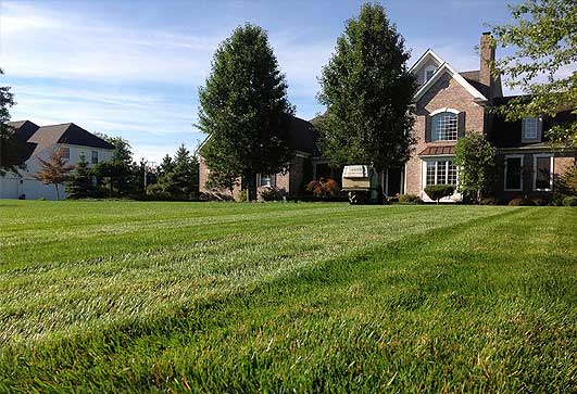 Rockford Lawn Fertilizing Contractor