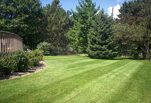 Rockford Lawn Mowing Services