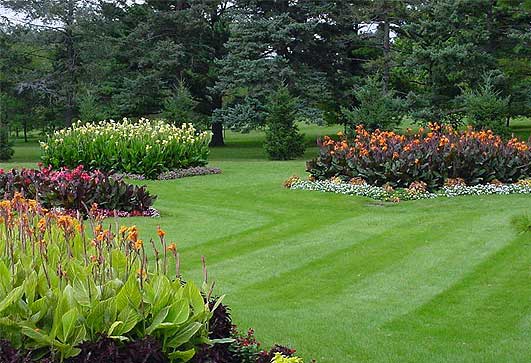 Rockford Area Lawn Care Services